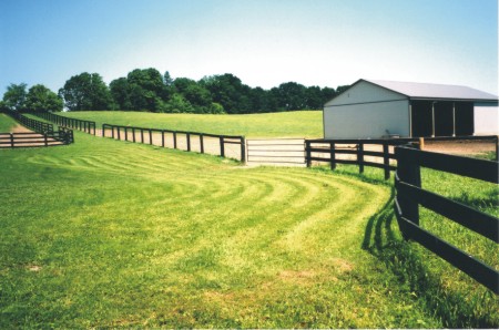 Back paddocks