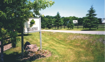 Welcome To Hill 'N' Dale Canada!